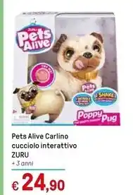 Ok Sigma De cecco pasta di semola offerta