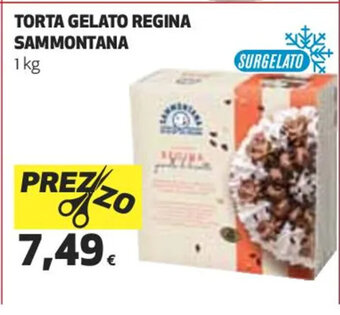 Coop TORTA GELATO REGINA SAMMONTANA 1 kg offerta