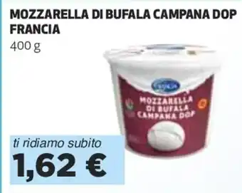Coop MOZZARELLA DI BUFALA CAMPANA DOP FRANCIA 400 g offerta