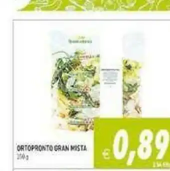 Ortopronto Insalata