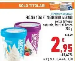 Conad Merano frozen yogurt yogurteria offerta