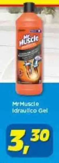Risparmio Casa Mr Muscle Idraulico Gel offerta