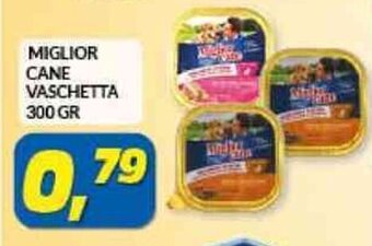 Risparmio Casa MIGLIOR CANE VASCHETTA 300 GR offerta