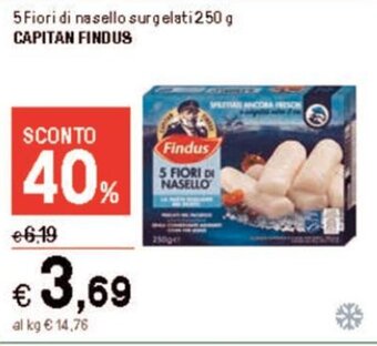 Iper La Grande 5 Fiori di nasello surgelati 250 g CAPITAN FINDUS offerta