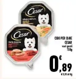 Conad Superstore Cesar cibo per cane offerta