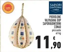 Conad Superstore Develey salse dressing offerta