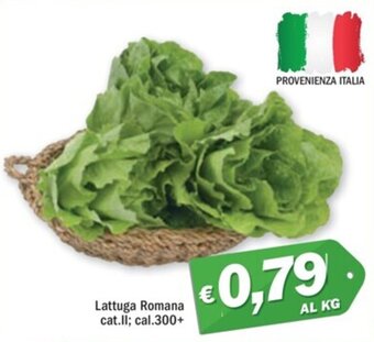 Ard Discount Lattuga Romana cat.Il; cal.300+ offerta