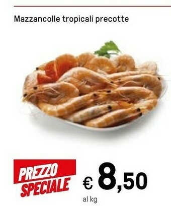 Mazzancolle Tropicali Precotte