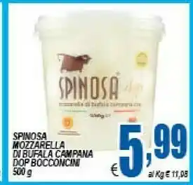 DEM Spinosa Mozzarella di bufala offerta