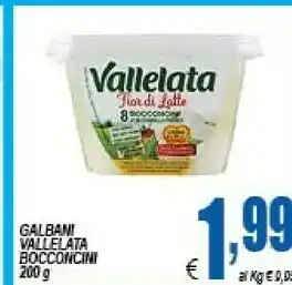 DEM Vallelata Mozzarella offerta