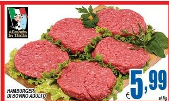DEM Hamburger offerta