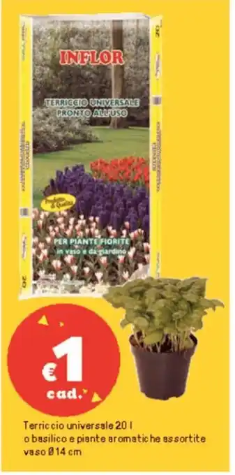 Iper La Grande Terriccio universale 201 o basilico e piante aromatiche assortite vaso 014 cm offerta