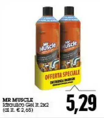 Emi Supermercati Mr muscle Idraulico Gel offerta