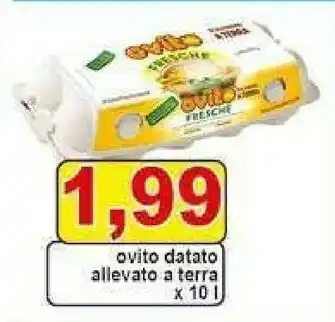 Gros Ovito - Uova Fresche Da Allevamento A Terra offerta