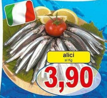 Pewex Alici offerta