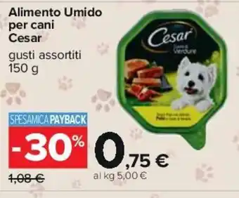 Carrefour Alimento Umido per cani Cesar gusti assortiti 150g offerta
