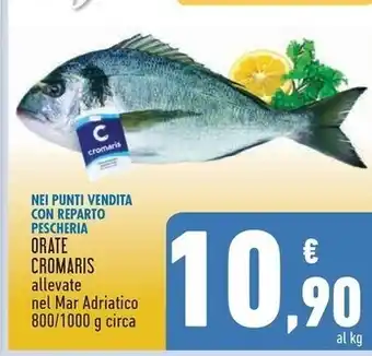 Cromaris orate