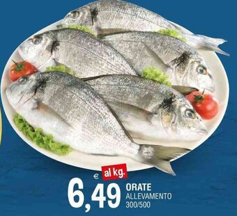 ORATE ALLEVAMENTO 300/500