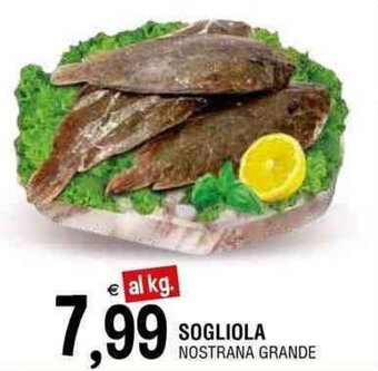 Gruppo La Tirrenica SOGLIOLA NOSTRANA GRANDE offerta