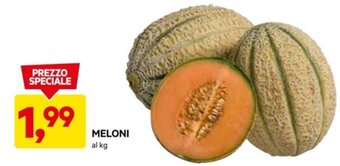 DPiù MELONI al kg offerta