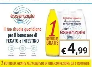 Fonte essenziale dalle terme di boario