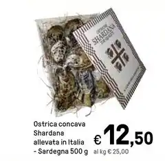 Iper La Grande Ostrica concava shardana billevato in italia - sardegna offerta