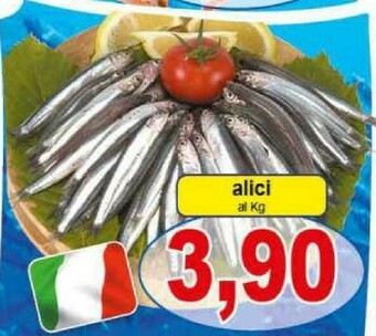 Gros Alici offerta
