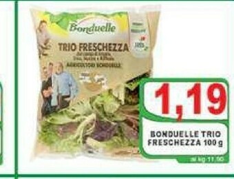 Gros Bonduelle Insalata offerta