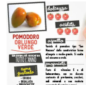 Spazio Conad POMODORO OBLUNGO VERDE offerta