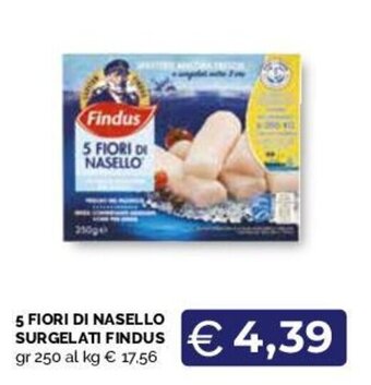 5 5 FIORI DI NASELLO SURGELATI FINDUS gr 250