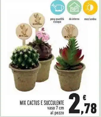 MIX CACTUS E SUCCULENTE vaso 7 cm