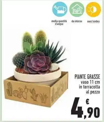 Conad Superstore PIANTE GRASSE 11 cm offerta