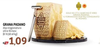 Maxi Family GRANA PADANO dop stagionatura oltre 16 mesi offerta