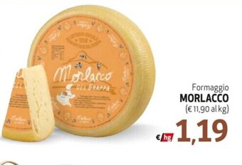 Formaggio MORLACCO