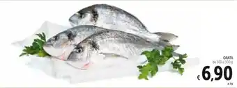 Spazio Conad ORATA da 300 a 500 g offerta