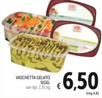 Spazio Conad VASCHETTA GELATO SIGEL vari tipi, 1,35 kg offerta