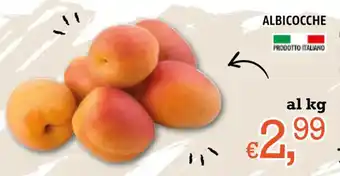Famila ALBICOCCHE offerta