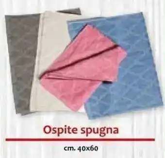 Famila Ospite spugna offerta