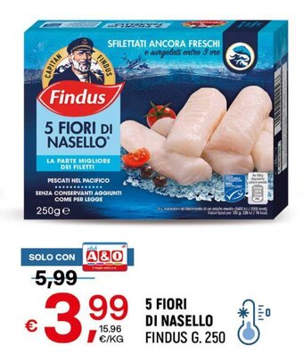 A&O 5 FIORI DI NASELLO FINDUS G. 250 offerta