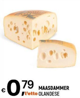 MAASDAMMER OLANDESE