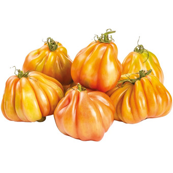 Coop Pomodori cuore di bue offerta