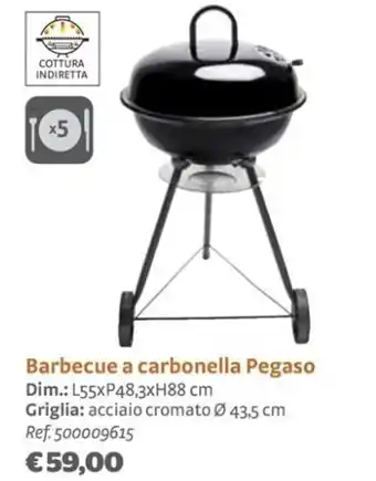 Barbecue a carbonella Pegaso L55xP48,3xH88 cm
