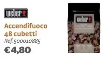 weber Accendifuoco 48 cubetti