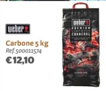 Bricocenter Carbone 5 kg offerta