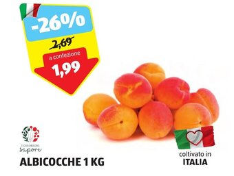 ALDI ALBICOCCHE 1 KG offerta
