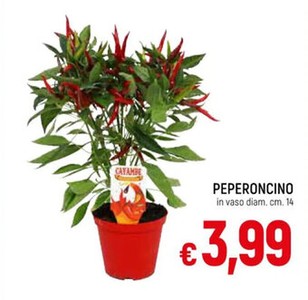 IperFamila PEPERONCINO offerta