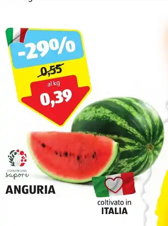 ALDI ANGURIA offerta