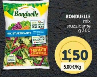 Deco Supermercati BONDUELLE mix stuzzicante g 300 offerta