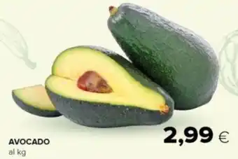 Oasi AVOCADO offerta
