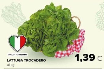 Oasi LATTUGA TROCADERO offerta